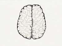 illustration brain GIF by General Electric