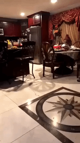 outstanding move GIF