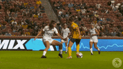 rslmarketing soccer nwsl national womens soccer league nationalwomenssoccerleague GIF
