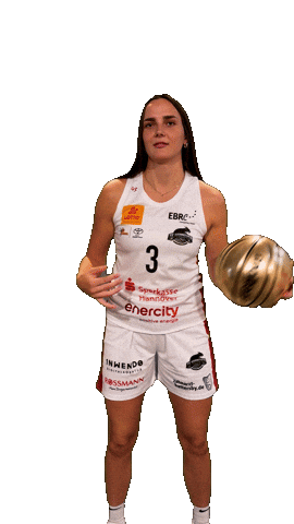 Basketball Bundesliga Sticker by TKH Luchse