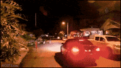 nation birth GIF