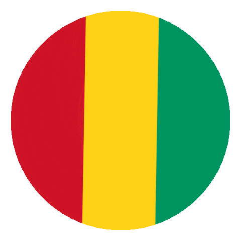 Guinea Flag Sticker by Conscious Planet - Save Soil