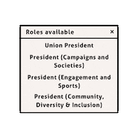 Elections Ccsu Sticker by Christ Church SU