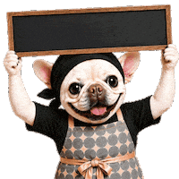 Frame Tapioca Sticker by BullPulu