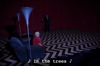 Season 2 Episode 22 GIF by Twin Peaks on Showtime