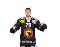 Bader Sticker by SC Bern