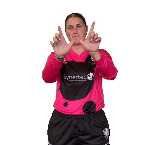 Play Win Sticker by Somerset County Cricket Club