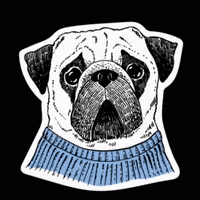 olenavasiv  GIF
