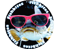 Fishing Catfish Sticker by Fishbites