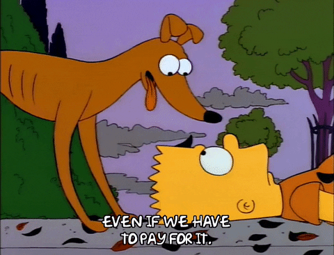 Season 2 GIF by The Simpsons