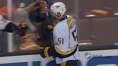 ice hockey GIF by NHL