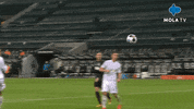 Save German GIF by MolaTV