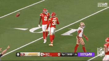 Super Bowl Sport GIF by NFL
