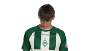 Look Up Werder Bremen Sticker by Bundesliga