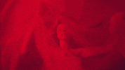 Desert Rose GIF by Lolo Zouaï