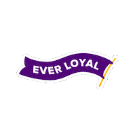 Panthers Sticker by UNI Athletics