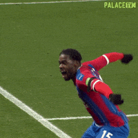 Premier League Sport GIF by CPFC