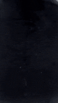Chester GIF by Youtooz