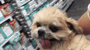 GIF by Giffffr