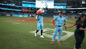 Blue Jays Baseball GIF by Toronto Blue Jays
