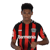 Whats Up Summer Sticker by Bayer 04 Leverkusen
