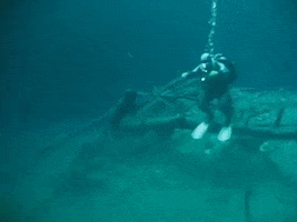Rabbit Hole Diving GIF by hamlet