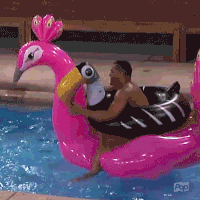 bigbrotherafterdark pop big brother bbad big brother after dark GIF