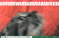 freak GIF