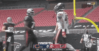 Regular Season Football GIF by NFL