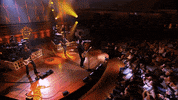 HallmarkChannel dog dogs puppy country music GIF