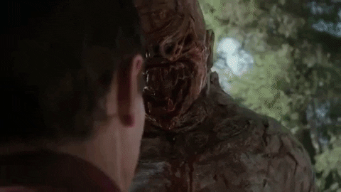 Door In The Woods GIF by Crypt TV
