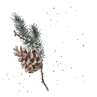 Winter Advent Sticker by nutsandgolden