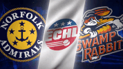 admirals GIF by Greenville Swamp Rabbits
