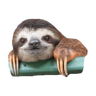 lazy STICKER by imoji