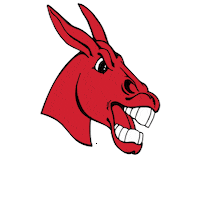 Basketball Sticker by University of Central Missouri