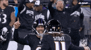 Baltimore Ravens Football GIF by NFL