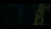New Zealand Hello GIF by End Of The Valley
