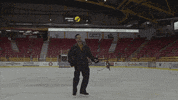 sliding ice hockey GIF by Hallmark Channel