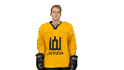 Hockeylietuva Sticker by ledoritulys.lt