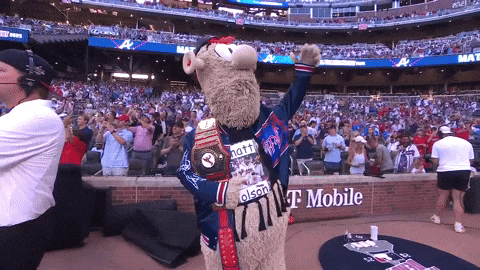 Atlanta Braves Sport GIF by MLB