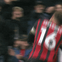 Happy Premier League GIF by AFC Bournemouth