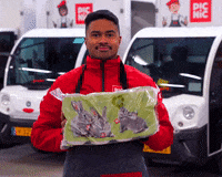 Bestellen France GIF by Picnic