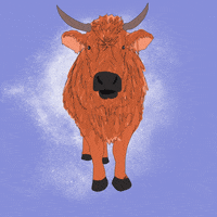Party Cow GIF