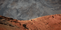 hawaii GIF