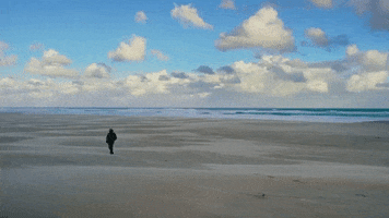 Surfing Hawaii GIF by 50statesproject