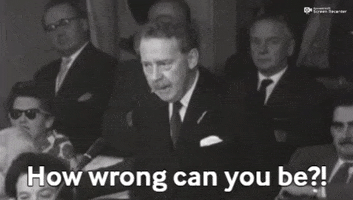 party angry politics wrong british GIF