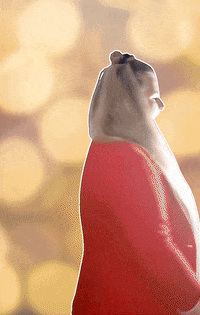 Christine Radaschitz GIF by MonkeyMedia