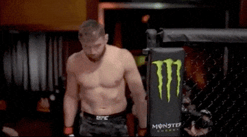 Walk Out Jan Blachowicz GIF by UFC