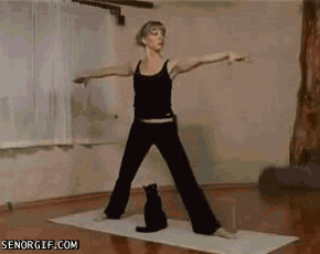 Video gif. Woman stands on a yoga mat with her arms outstretched and her legs spread in a wide triangle; a small cat sits between her legs, then suddenly jumps up and claws the woman's crotch, and the woman yells in pain and grabs herself.