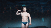 Uvaswimdive26 GIF by Virginia Athletics